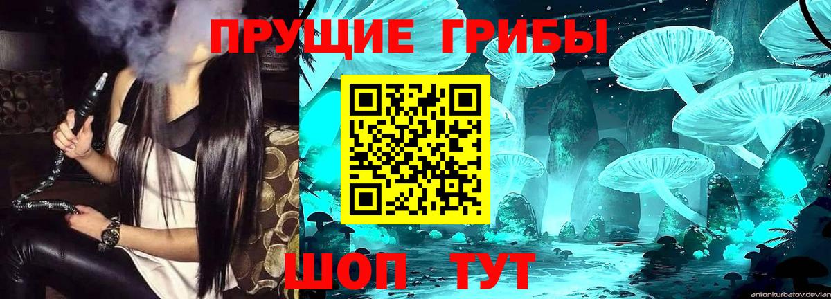Кунгур  Галлюциногенные грибы ЛСД  Вход с VPN 